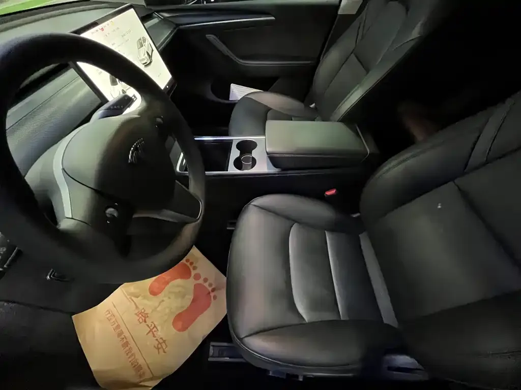 Tesla Model Y 2021 из CN, фото 6