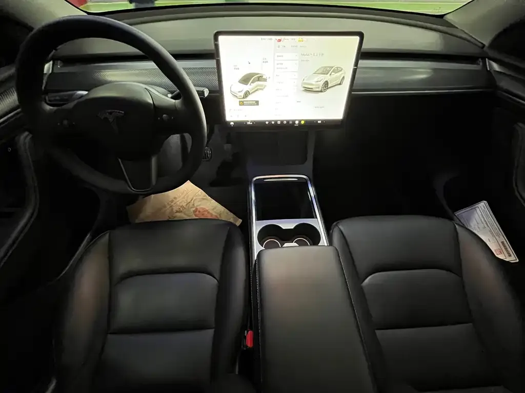 Tesla Model Y 2021 из CN, фото 4