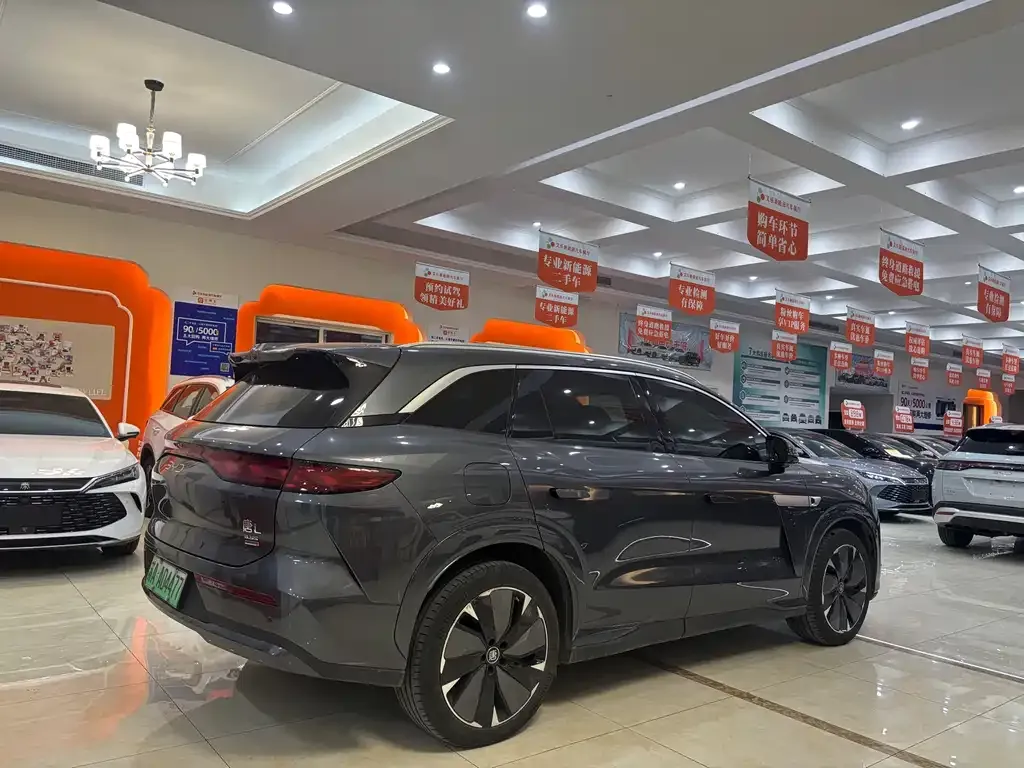 BYD Tang L 2025 из CN, фото 6