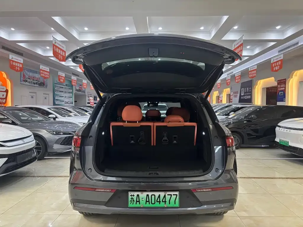 BYD Tang L 2025 из CN, фото 9