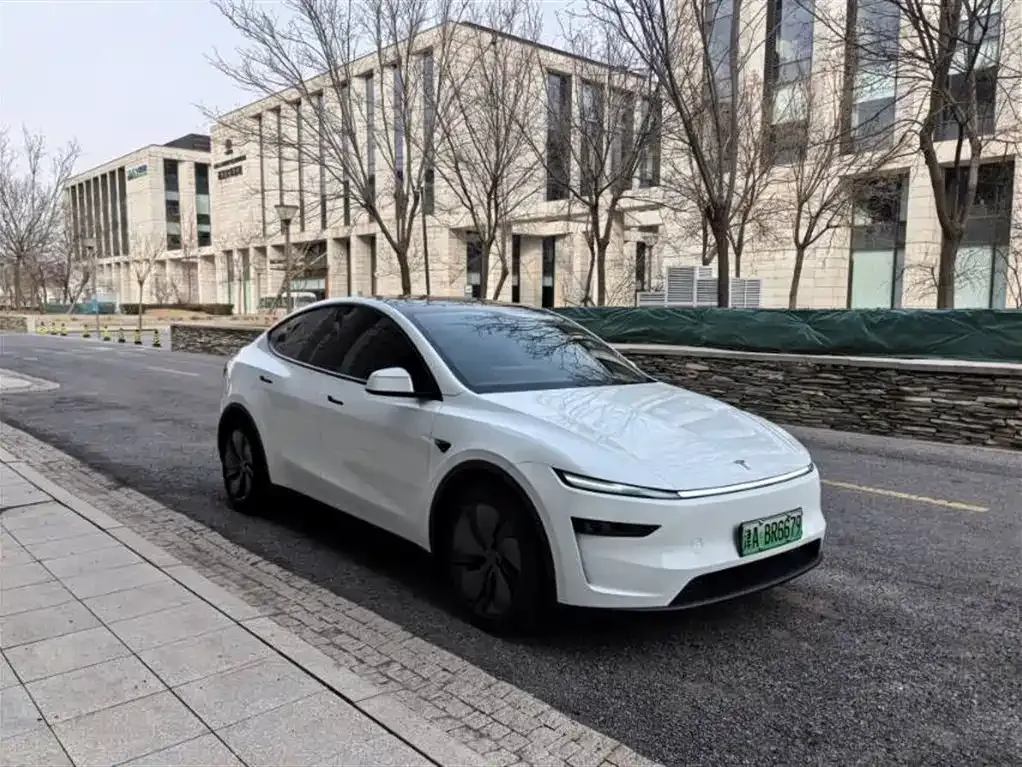 Tesla Model Y — фото 8