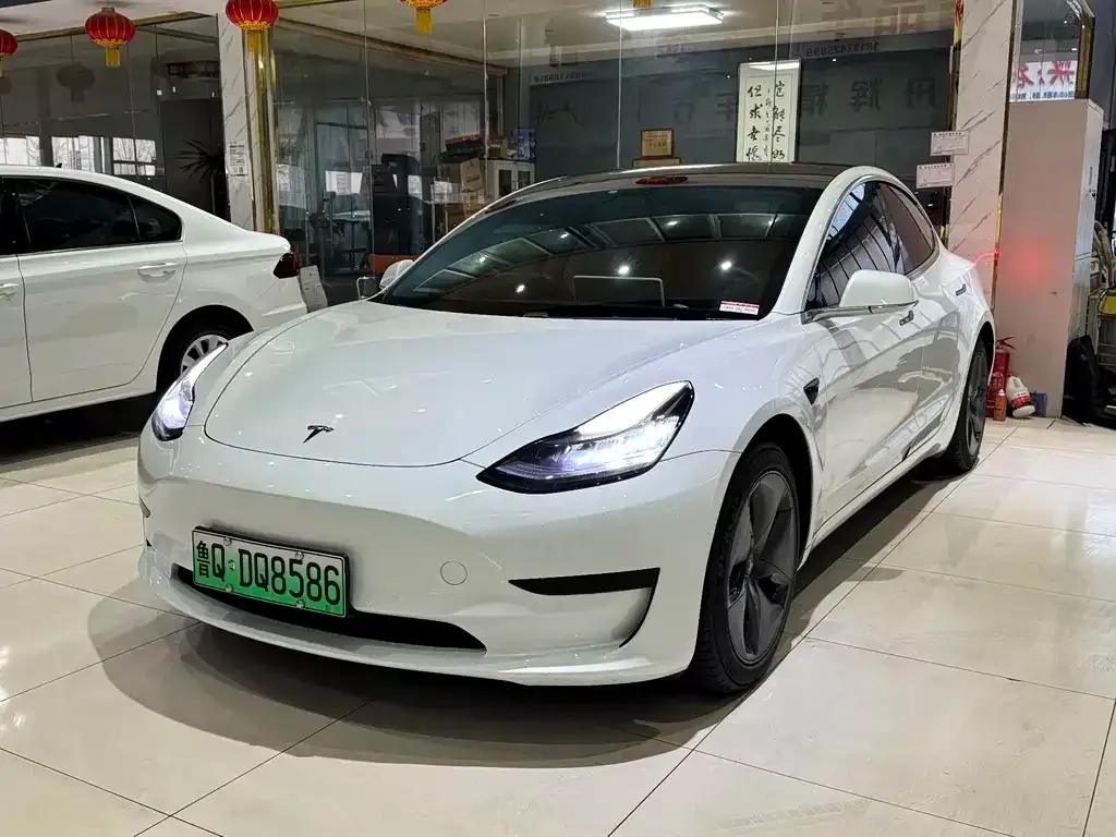 Tesla Model 3 2021 из CN, фото 1