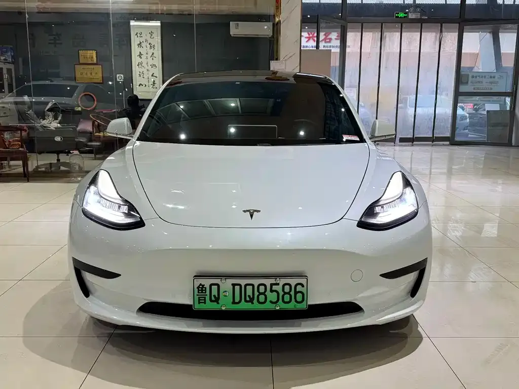 Tesla Model 3 2021 из CN, фото 4