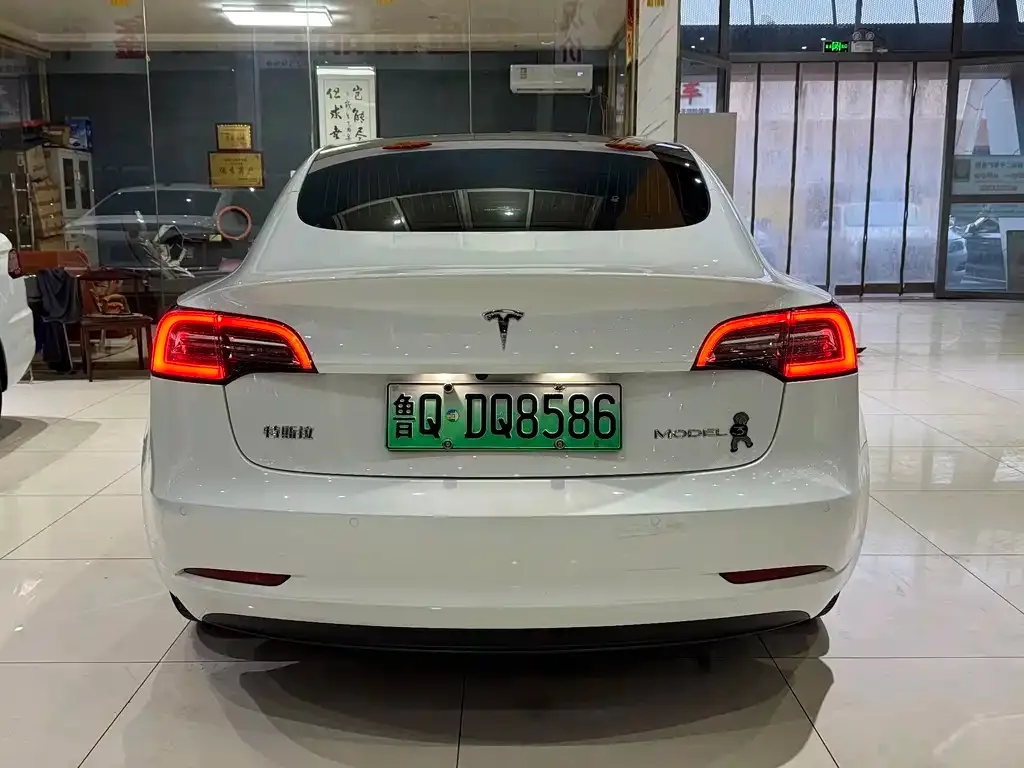 Tesla Model 3 2021 из CN, фото 5