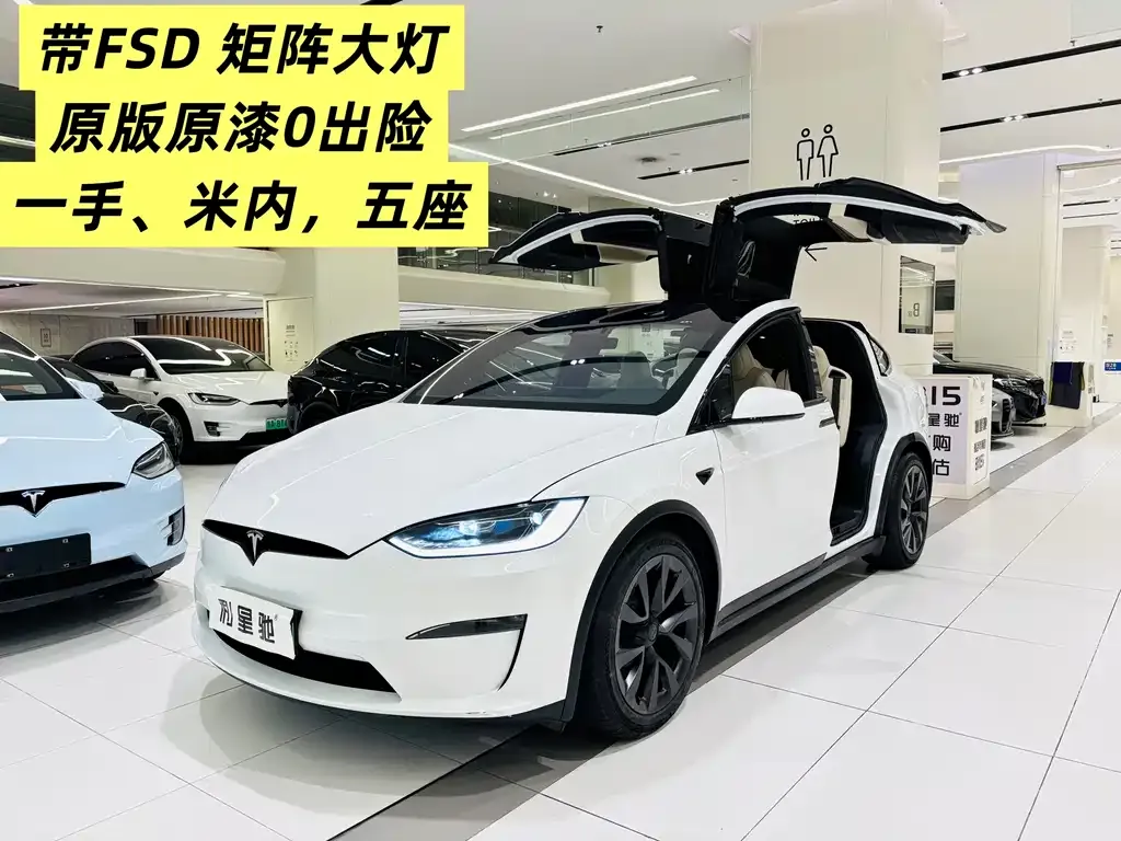 Tesla Model X 2023 из CN, фото 1
