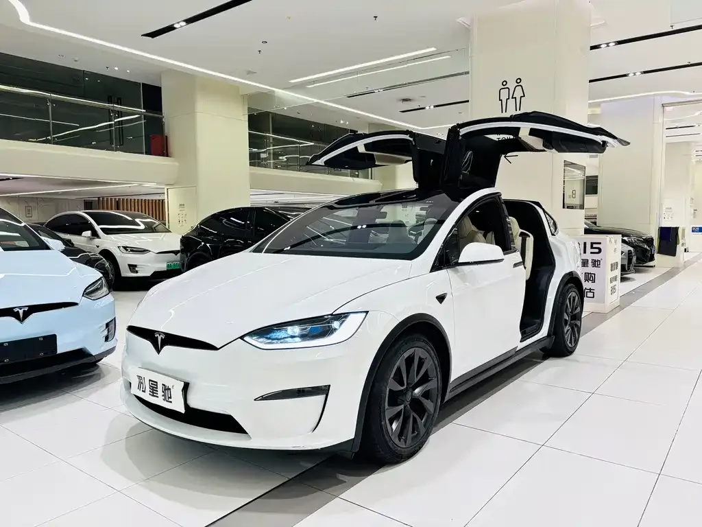 Tesla Model X 2023 из CN, фото 8