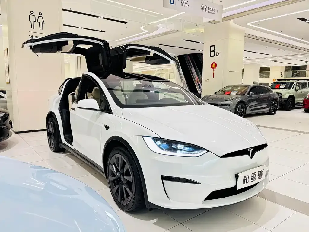 Tesla Model X 2023 из CN, фото 5