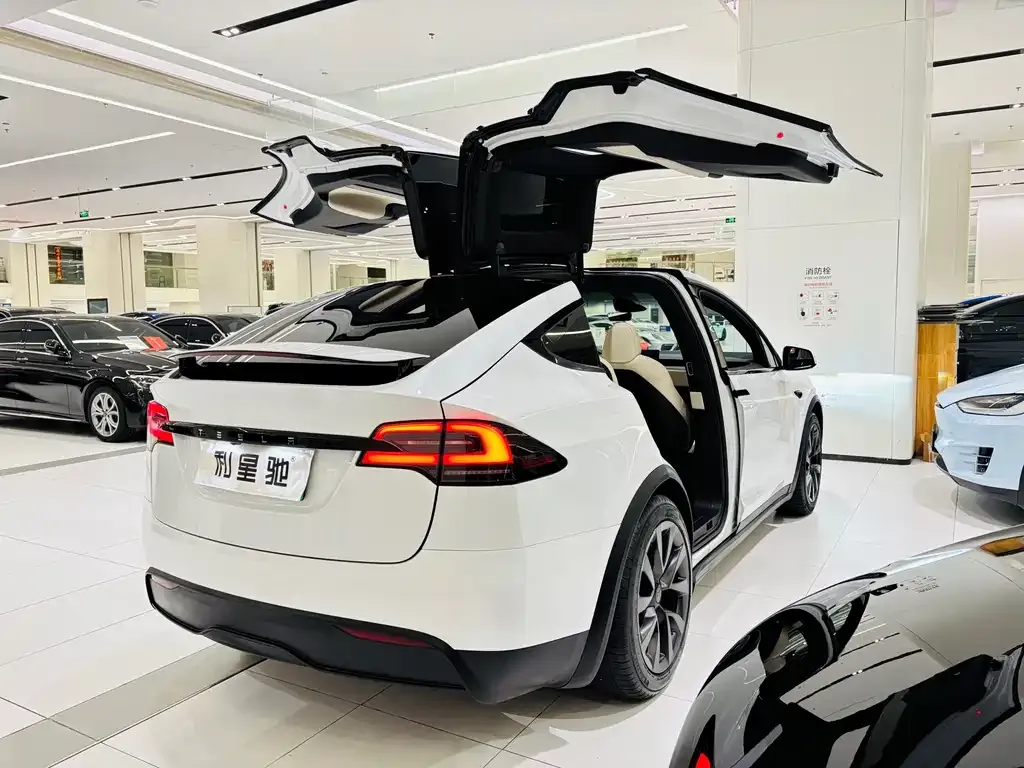 Tesla Model X 2023 из CN, фото 6