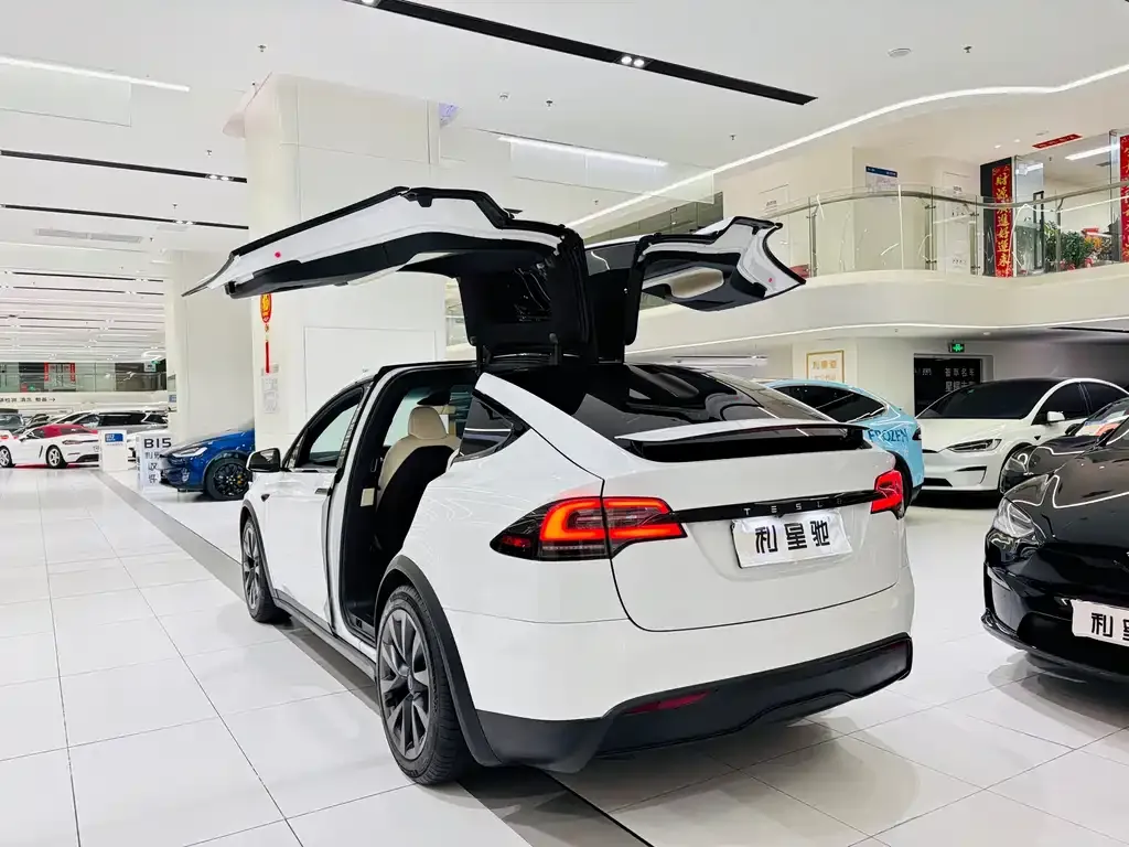 Tesla Model X 2023 из CN, фото 7