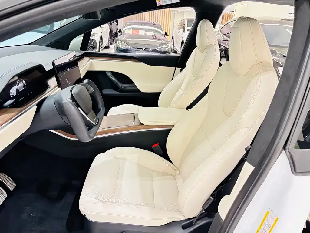 Tesla Model X 2023 из CN, фото 9