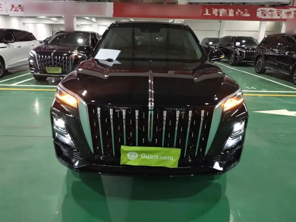 Hongqi HS5 2024 из CN, фото 9