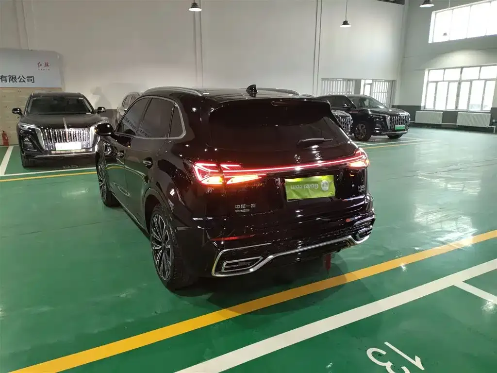 Hongqi HS5 2024 из CN, фото 10