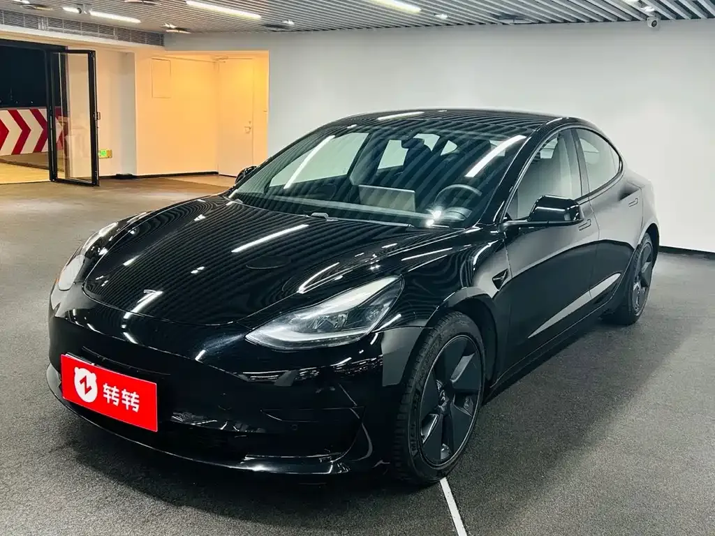Tesla Model 3 2021 из CN, фото 1