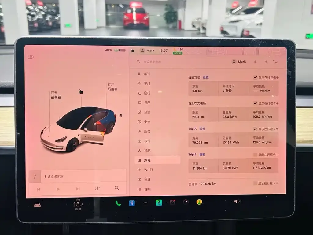 Tesla Model 3 2021 из CN, фото 2