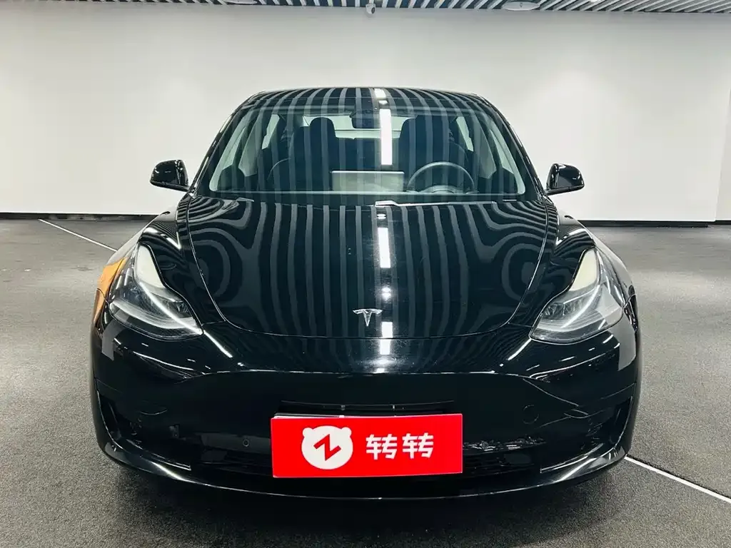 Tesla Model 3 2021 из CN, фото 6