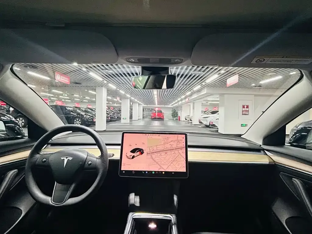 Tesla Model 3 2021 из CN, фото 9