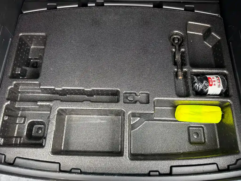 BYD PLUS New Energy 2022 из CN, фото 9