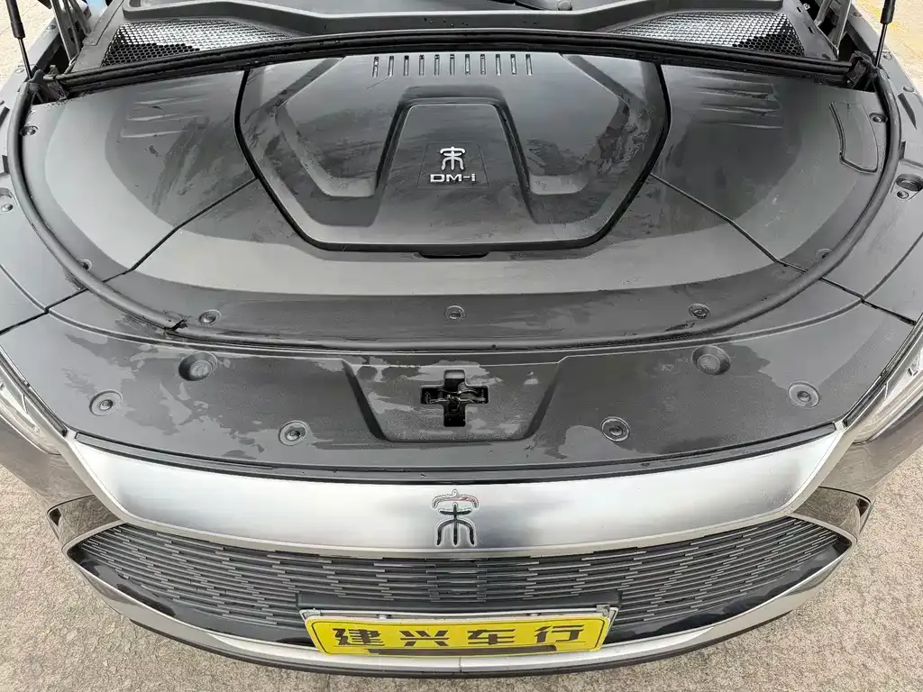 BYD PLUS New Energy 2022 из CN, фото 5