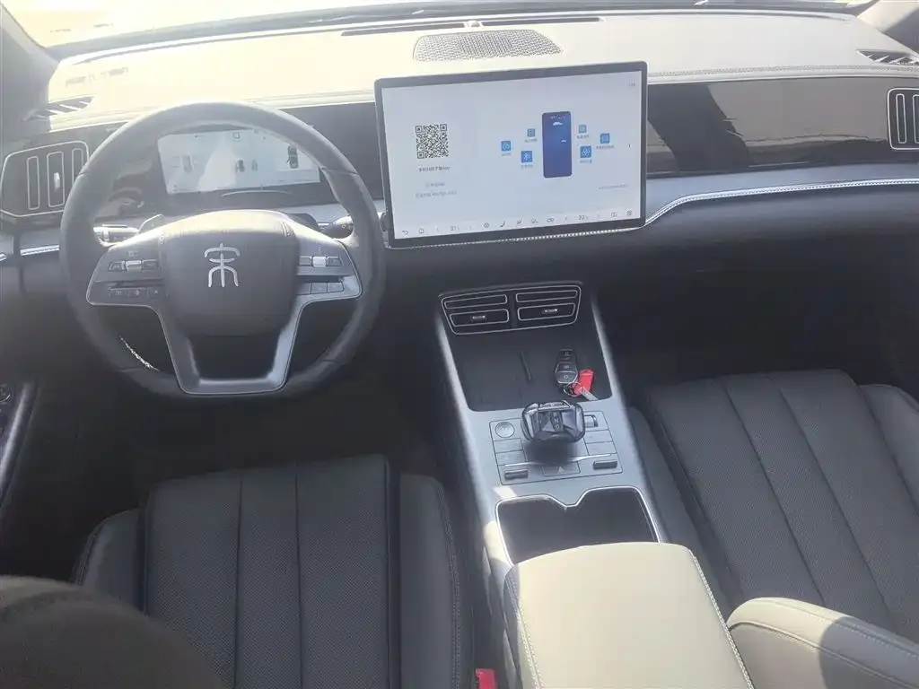 BYD Pro New Energy 2025 из CN, фото 4