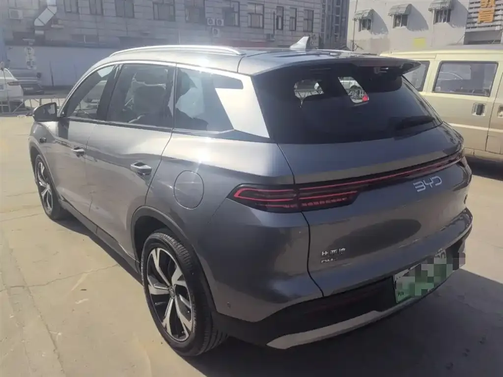 BYD Pro New Energy 2025 из CN, фото 5