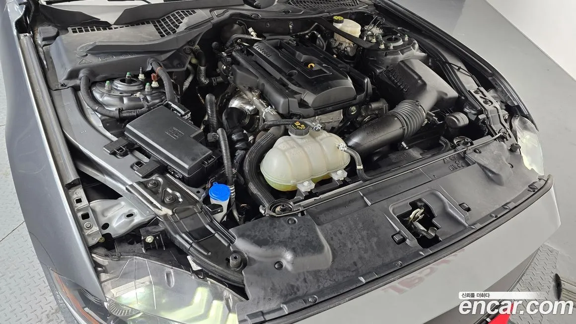Ford Mustang 2022 из KR, фото 10