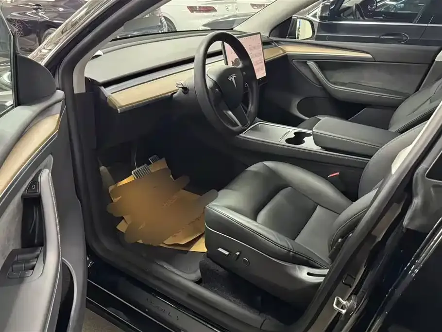 Tesla Model Y 2021 из CN, фото 9