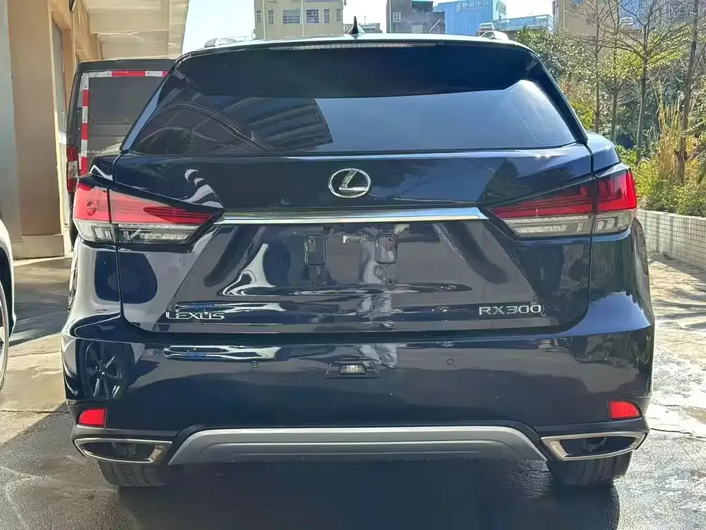 Lexus RX 2021 из CN, фото 6
