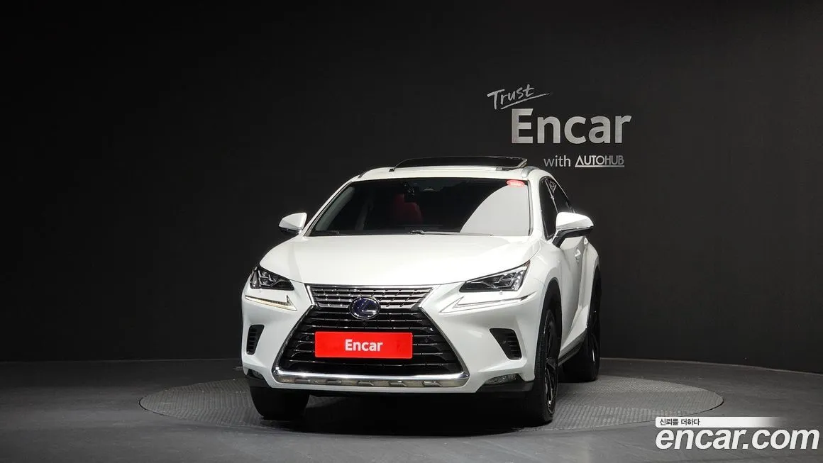 Lexus NX 2021 из KR, фото 3