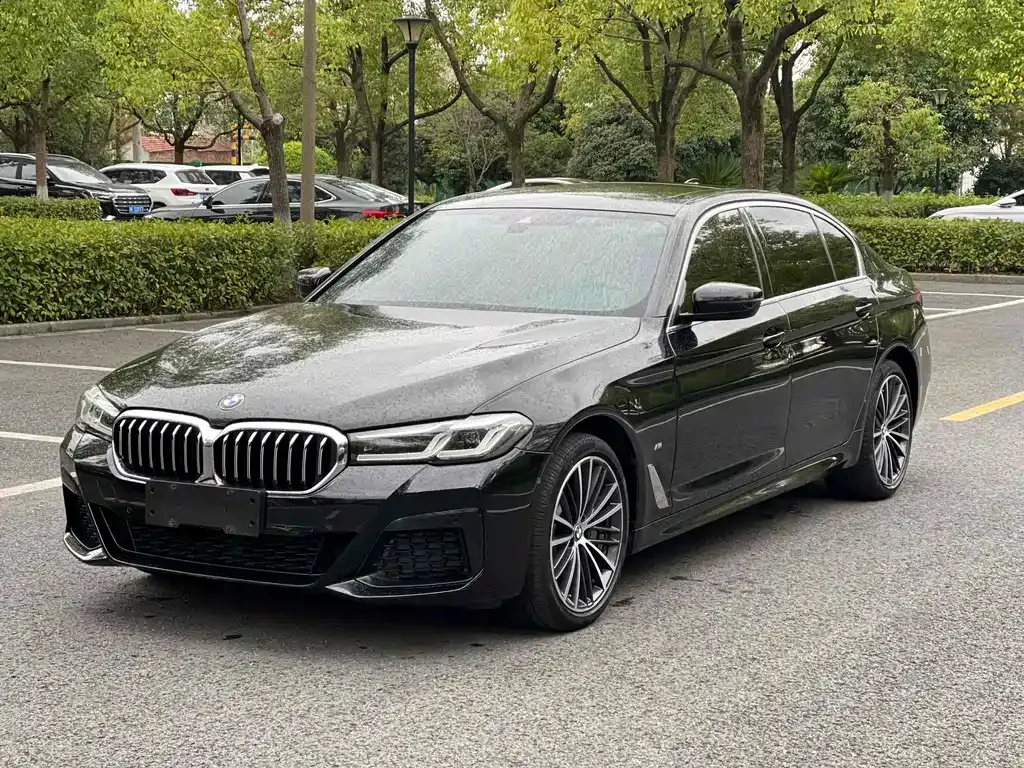 BMW 5 Series 2021 из CN, фото 1
