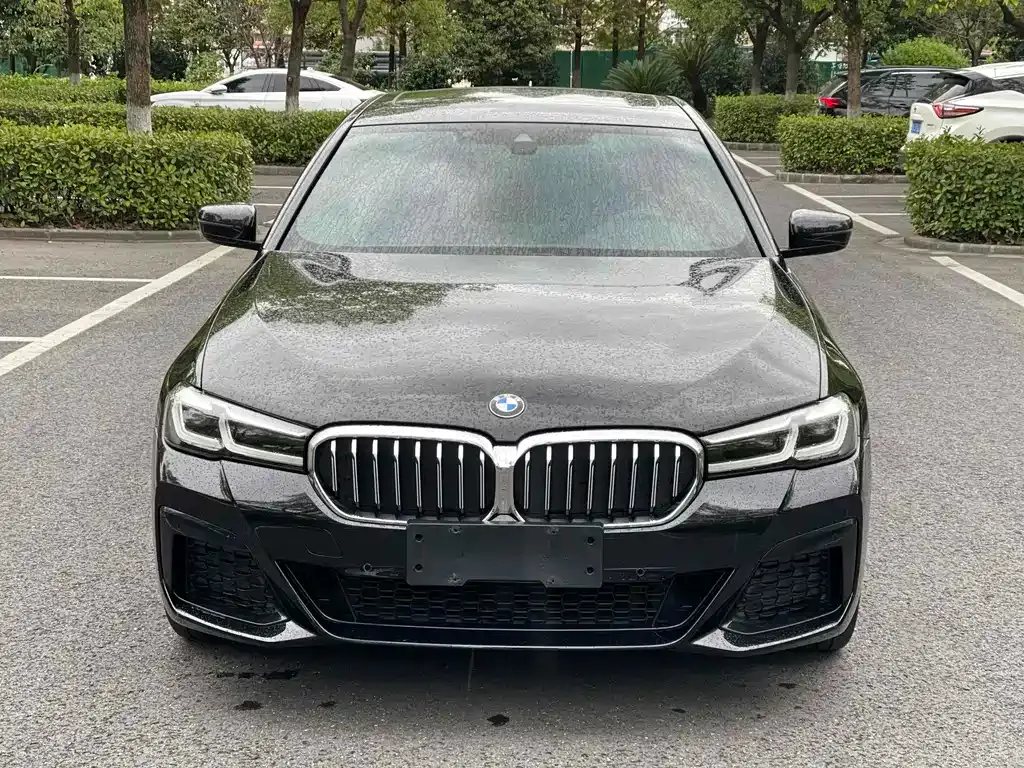 BMW 5 Series 2021 из CN, фото 7