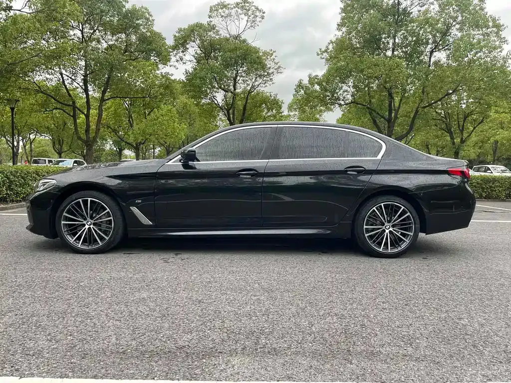 BMW 5 Series 2021 из CN, фото 10