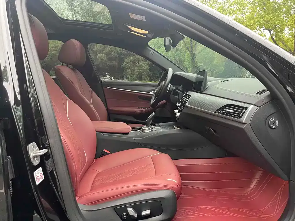 BMW 5 Series 2021 из CN, фото 4