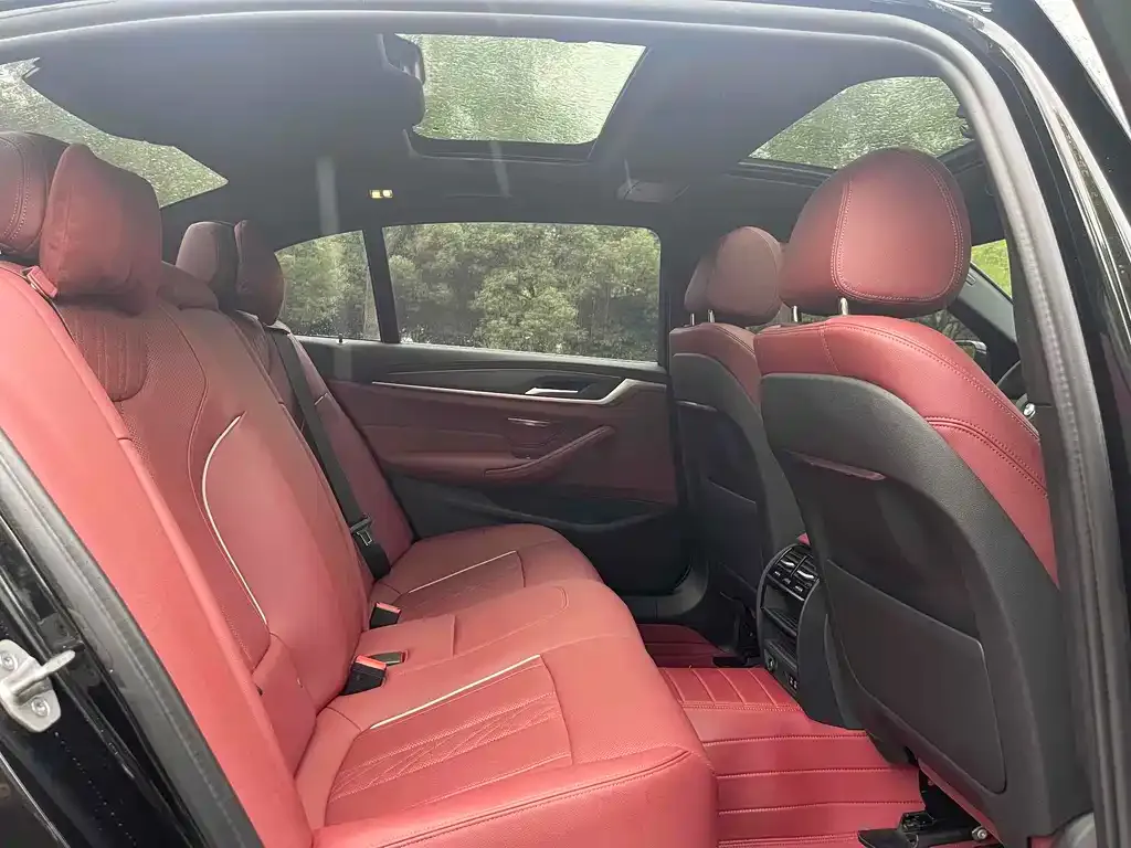 BMW 5 Series 2021 из CN, фото 6