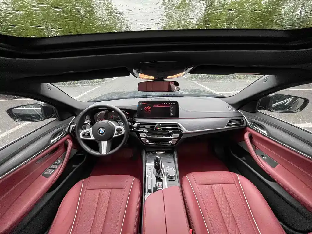 BMW 5 Series 2021 из CN, фото 5