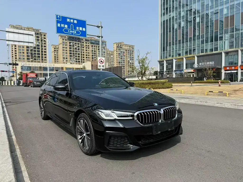 BMW 5 Series 2022 из CN, фото 4