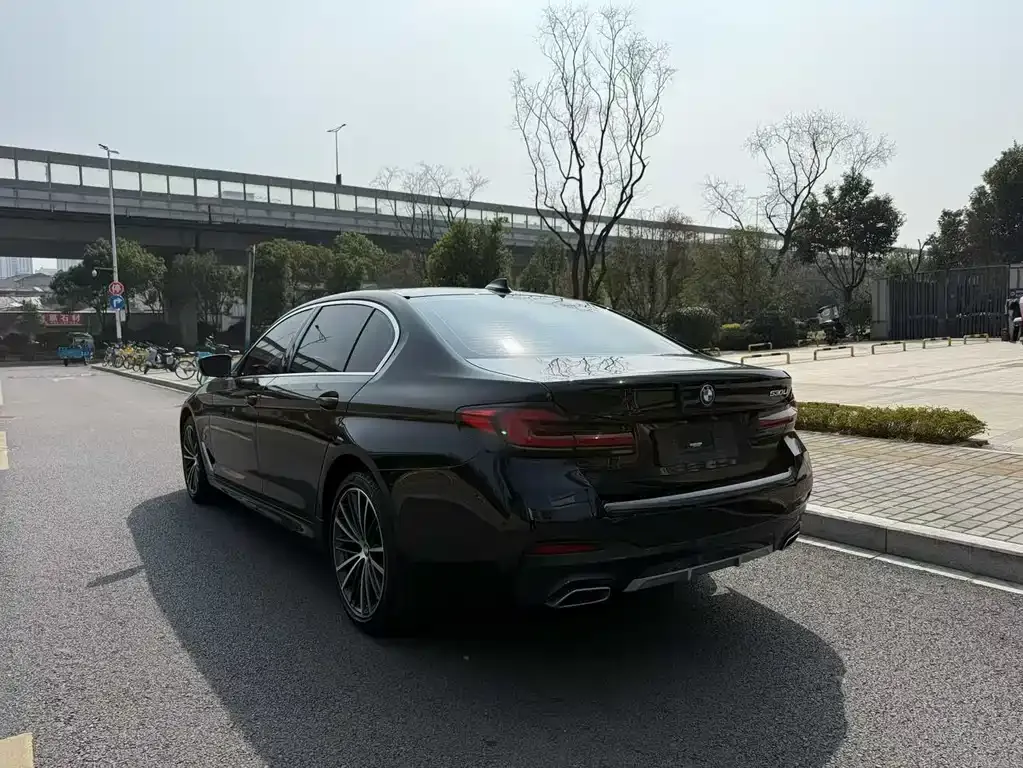 BMW 5 Series 2022 из CN, фото 9
