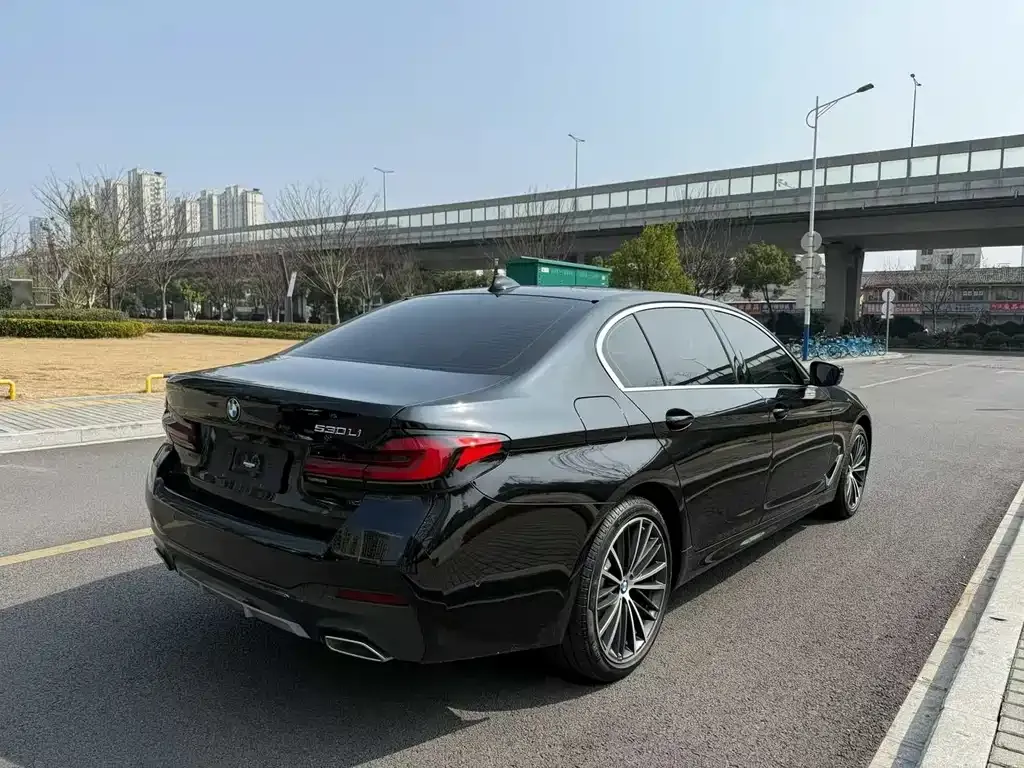 BMW 5 Series 2022 из CN, фото 3