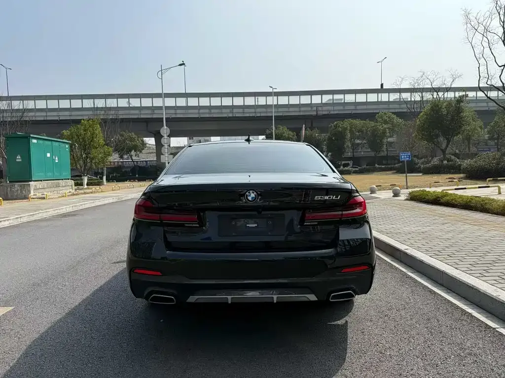 BMW 5 Series 2022 из CN, фото 2