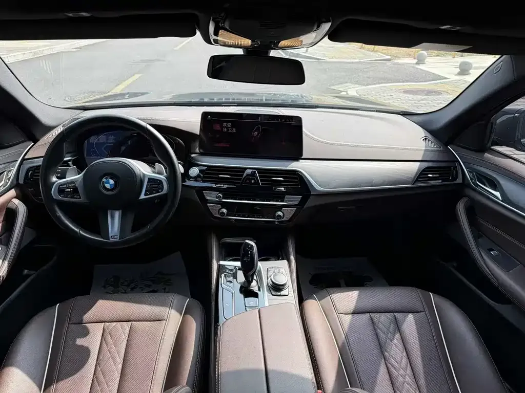 BMW 5 Series 2022 из CN, фото 8