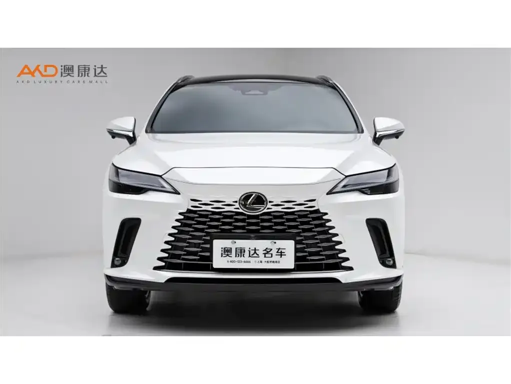 Lexus RX 2023 из CN, фото 4