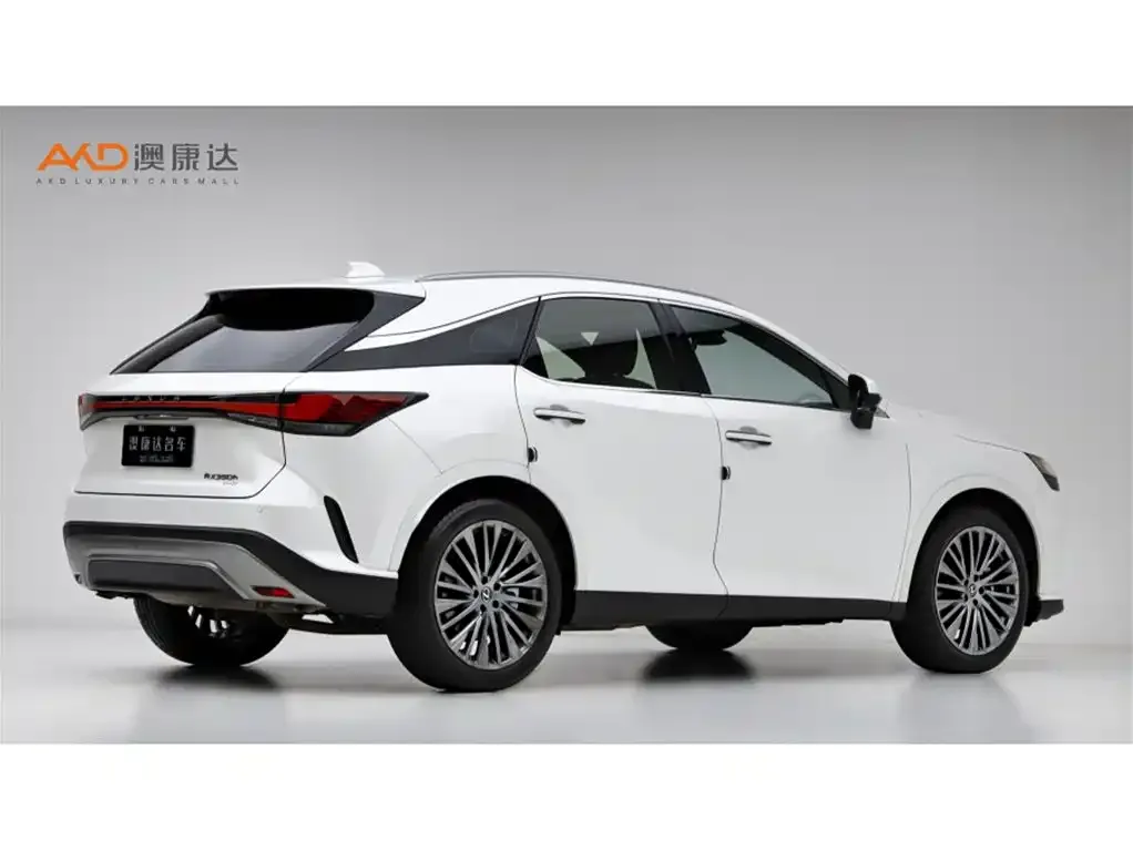 Lexus RX 2023 из CN, фото 3