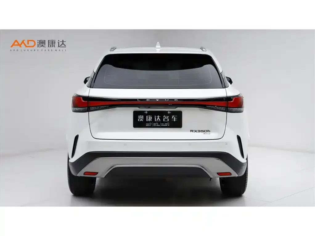 Lexus RX 2023 из CN, фото 2