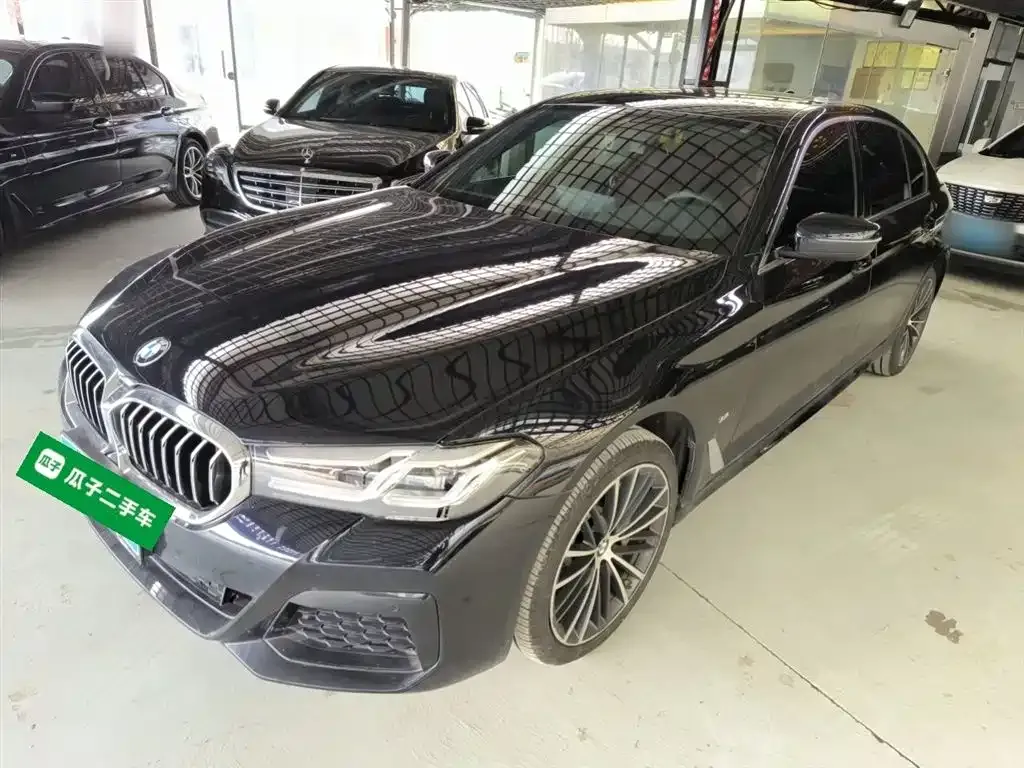 BMW 5 Series 2022 из CN, фото 7