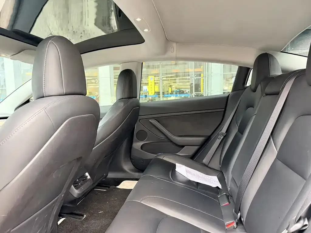 Tesla Model 3 2023 из CN, фото 3