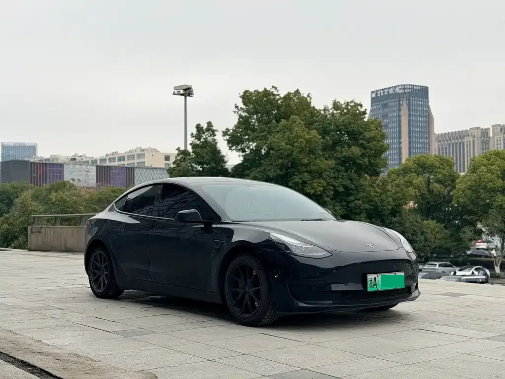 Tesla Model 3 2023 из CN, фото 2