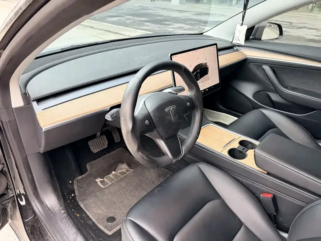 Tesla Model 3 2023 из CN, фото 6