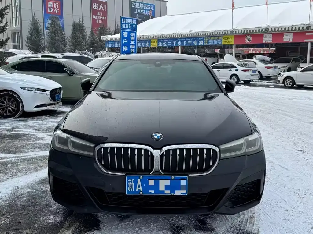 BMW 5 Series 2023 из CN, фото 8