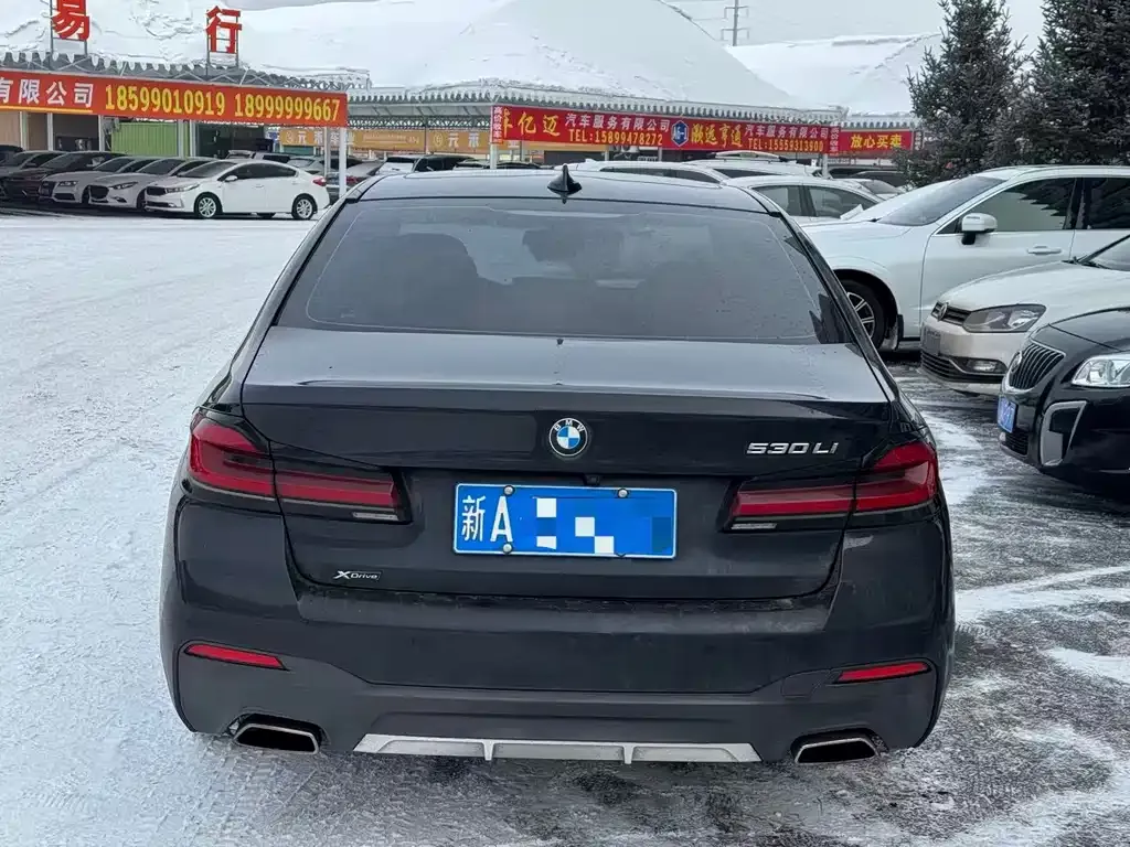 BMW 5 Series 2023 из CN, фото 9