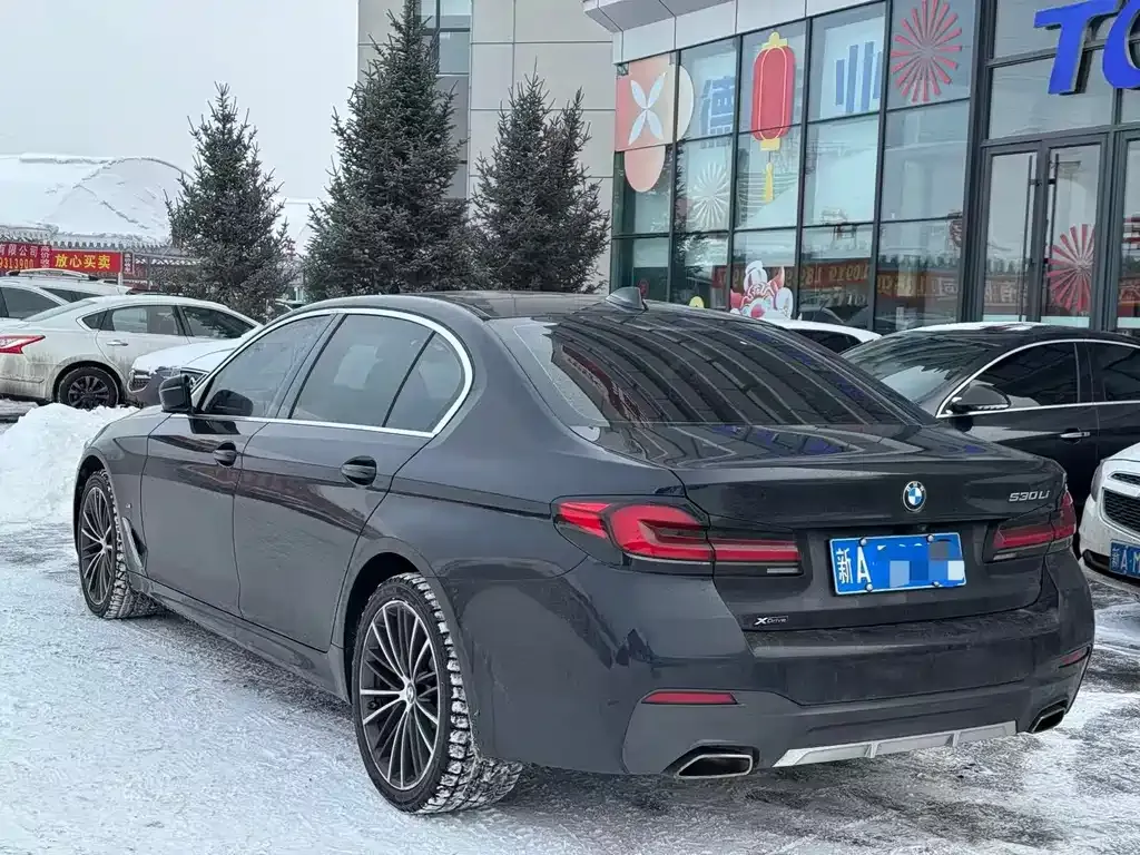 BMW 5 Series 2023 из CN, фото 7