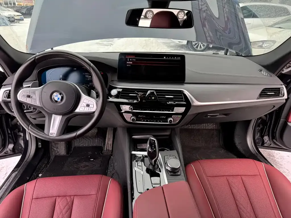 BMW 5 Series 2023 из CN, фото 6